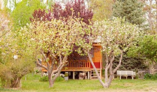 Hosteria La Farfalla Chos Malal Luaran gambar
